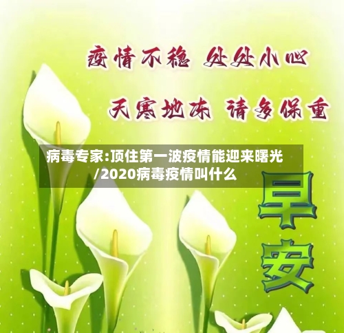 病毒专家:顶住第一波疫情能迎来曙光/2020病毒疫情叫什么