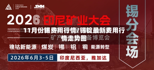 11月份锡费用行情/锡锭最新费用行情走势图