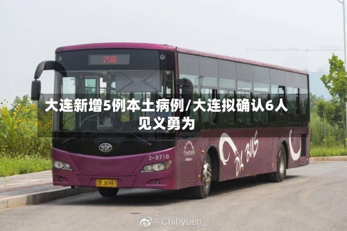 大连新增5例本土病例/大连拟确认6人见义勇为-第1张图片