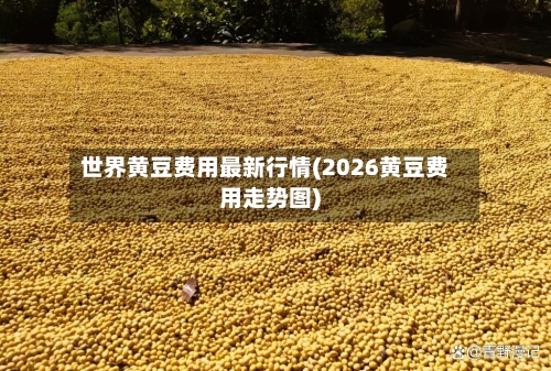 世界黄豆费用最新行情(2026黄豆费用走势图)-第1张图片