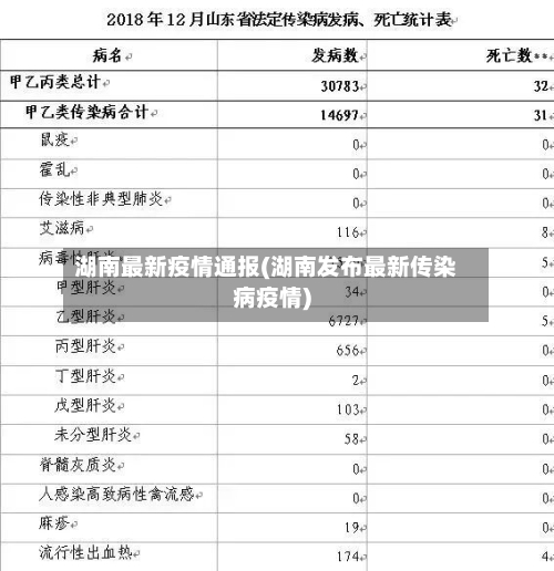 湖南最新疫情通报(湖南发布最新传染病疫情)