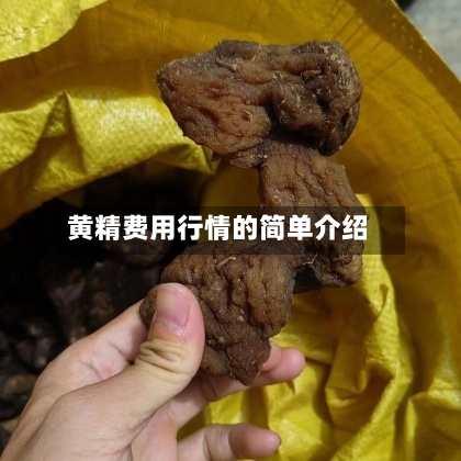 黄精费用行情的简单介绍-第3张图片
