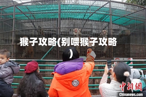 猴子攻略(别喂猴子攻略)
