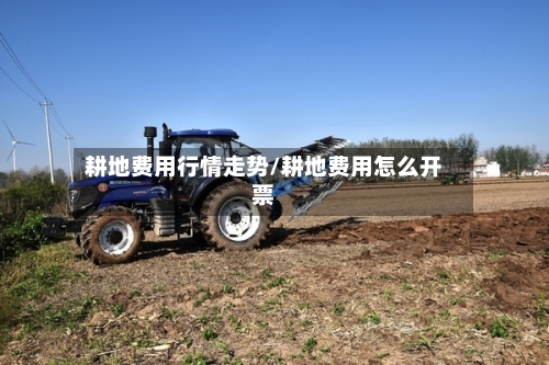 耕地费用行情走势/耕地费用怎么开票-第1张图片