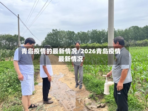 青岛疫情的最新情况/2026青岛疫情最新情况