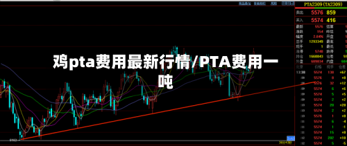 鸡pta费用最新行情/PTA费用一吨-第1张图片