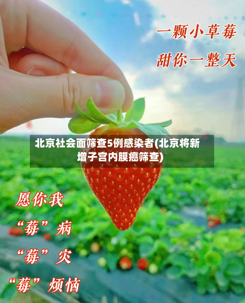 北京社会面筛查5例感染者(北京将新增子宫内膜癌筛查)-第1张图片