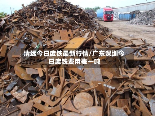 清远今日废铁最新行情/广东深圳今日废铁费用表一吨