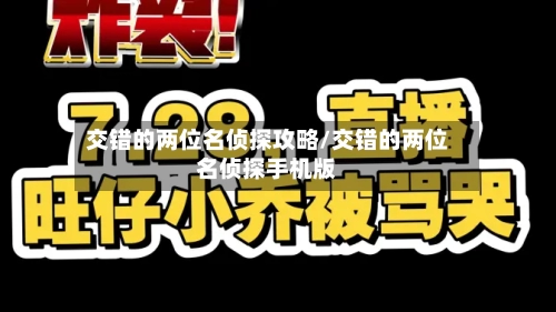 交错的两位名侦探攻略/交错的两位名侦探手机版