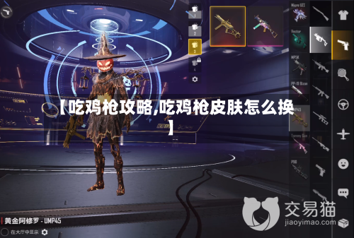 【吃鸡枪攻略,吃鸡枪皮肤怎么换】-第1张图片