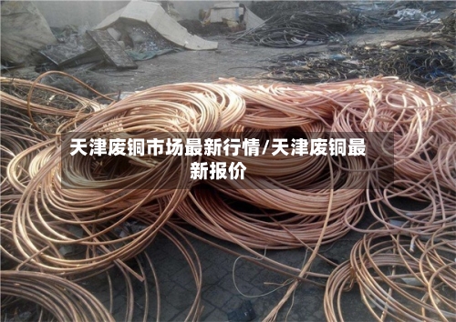 天津废铜市场最新行情/天津废铜最新报价