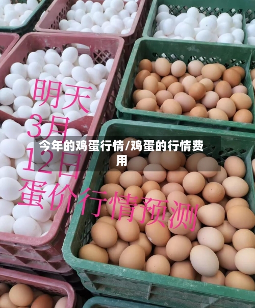 今年的鸡蛋行情/鸡蛋的行情费用-第3张图片