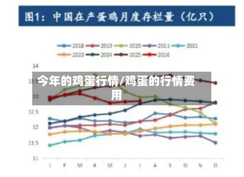 今年的鸡蛋行情/鸡蛋的行情费用-第1张图片