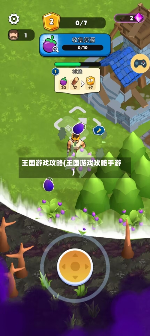 王国游戏攻略(王国游戏攻略手游)-第2张图片