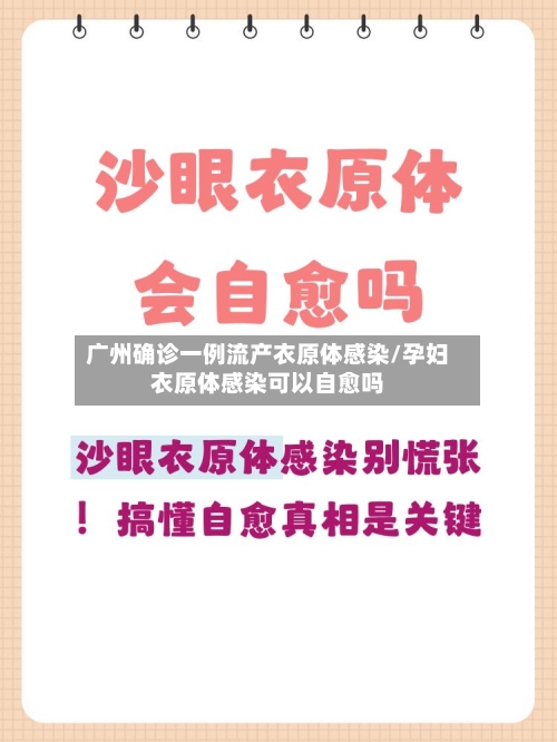 广州确诊一例流产衣原体感染/孕妇衣原体感染可以自愈吗-第1张图片