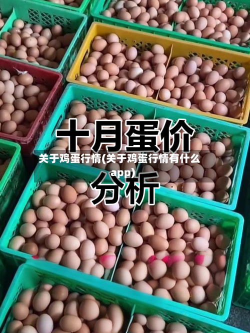 关于鸡蛋行情(关于鸡蛋行情有什么app)-第1张图片
