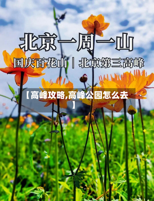 【高峰攻略,高峰公园怎么去】
