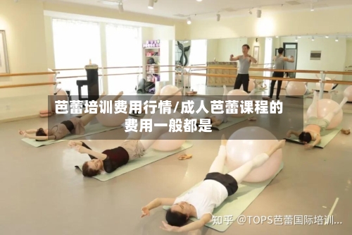 芭蕾培训费用行情/成人芭蕾课程的费用一般都是-第2张图片