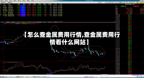 【怎么查金属费用行情,查金属费用行情看什么网站】-第1张图片