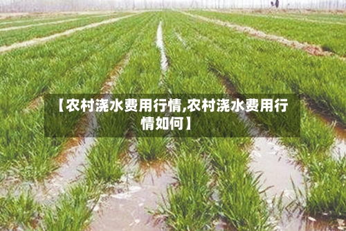 【农村浇水费用行情,农村浇水费用行情如何】