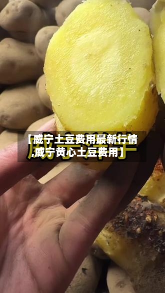 【威宁土豆费用最新行情,威宁黄心土豆费用】