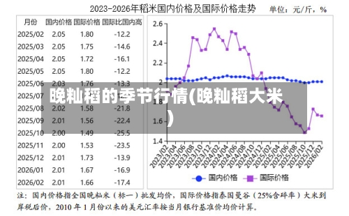 晚籼稻的季节行情(晚籼稻大米)