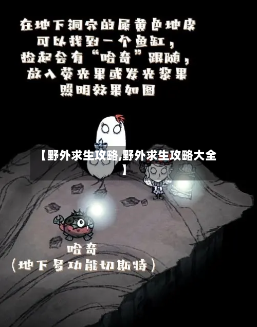 【野外求生攻略,野外求生攻略大全】-第2张图片
