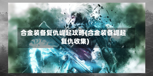 合金装备复仇崛起攻略(合金装备崛起复仇收集)-第2张图片