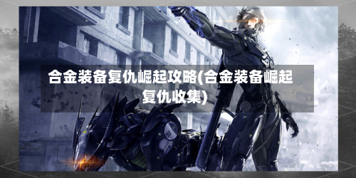 合金装备复仇崛起攻略(合金装备崛起复仇收集)-第3张图片