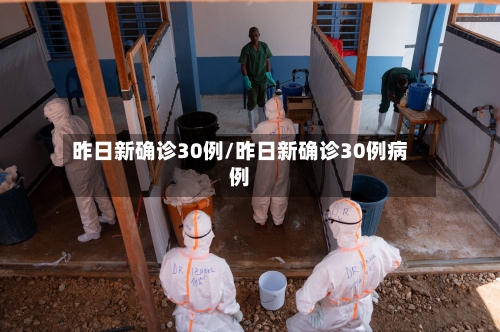 昨日新确诊30例/昨日新确诊30例病例-第2张图片