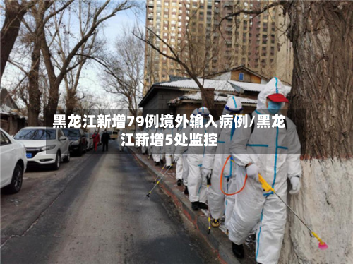 黑龙江新增79例境外输入病例/黑龙江新增5处监控
