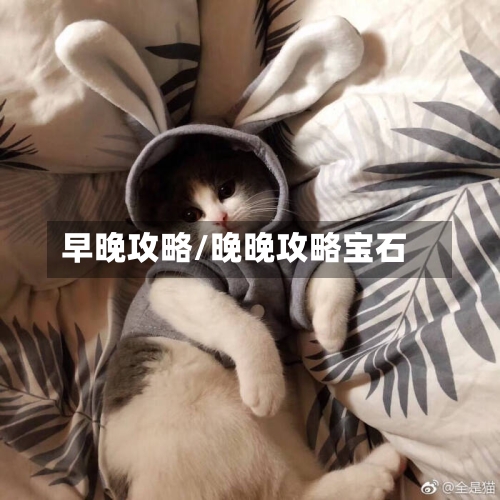 早晚攻略/晚晚攻略宝石