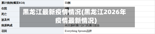 黑龙江最新疫情情况(黑龙江2026年疫情最新情况)