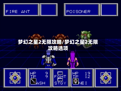 梦幻之星2无限攻略/梦幻之星2无限攻略选项-第3张图片