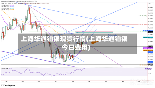 上海华通铂银现货行情(上海华通铂银今日费用)-第3张图片