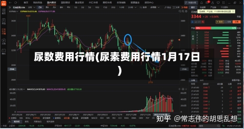 尿数费用行情(尿素费用行情1月17日)-第2张图片
