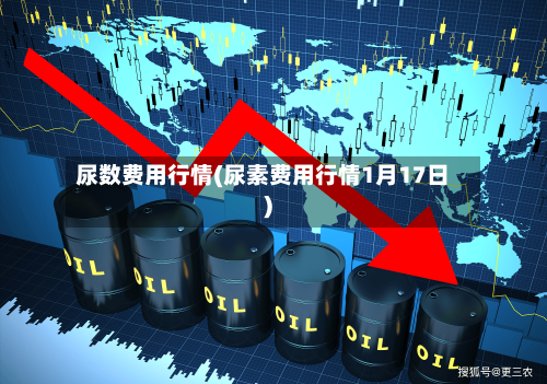 尿数费用行情(尿素费用行情1月17日)