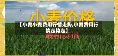 【小麦小麦费用行情走势,小麦费用行情走势走】-第3张图片