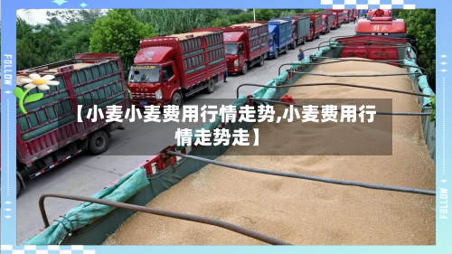 【小麦小麦费用行情走势,小麦费用行情走势走】