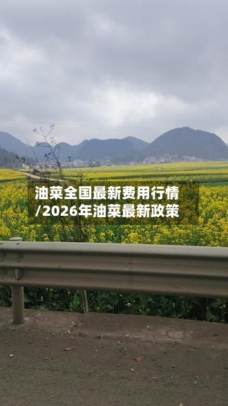 油菜全国最新费用行情/2026年油菜最新政策