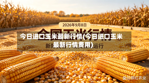 今日进口玉米最新行情(今日进口玉米最新行情费用)-第2张图片