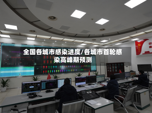 全国各城市感染进度/各城市首轮感染高峰期预测-第3张图片