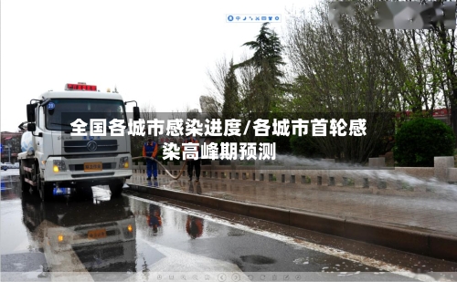 全国各城市感染进度/各城市首轮感染高峰期预测