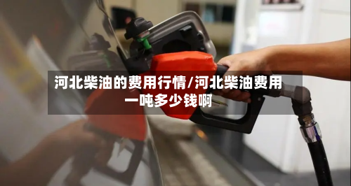 河北柴油的费用行情/河北柴油费用一吨多少钱啊