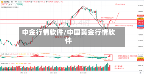 中金行情软件/中国黄金行情软件-第2张图片