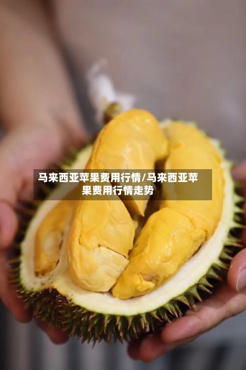 马来西亚苹果费用行情/马来西亚苹果费用行情走势