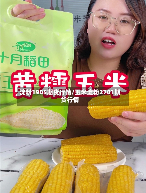 淀粉1905期货行情/玉米淀粉2701期货行情