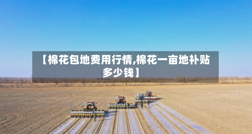 【棉花包地费用行情,棉花一亩地补贴多少钱】