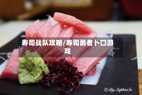 寿司战队攻略/寿司勇者卜口游戏-第2张图片
