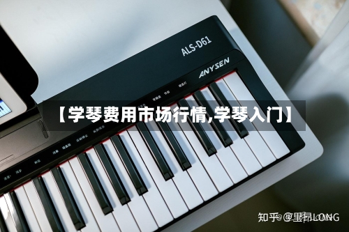 【学琴费用市场行情,学琴入门】-第2张图片